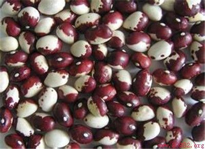 花豆的功效与作用及食用方法