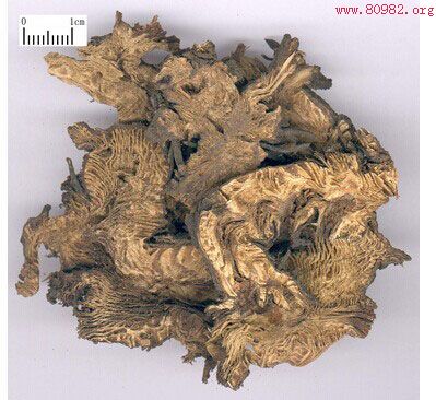 ����Ĺ�Ч�����ü�ʳ�÷�������-����ͼƬ